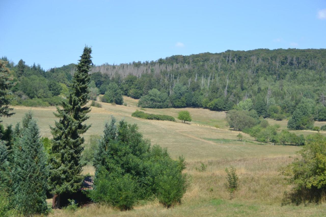 Frankenau Fewo Kellerwald Bagian luar foto